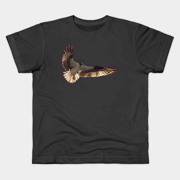 Osprey Kids T-Shirt by Oregon Art Shop